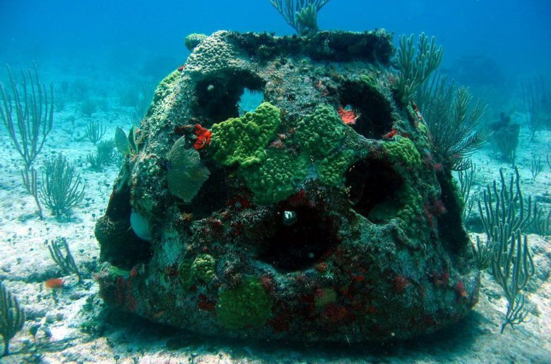 arrecife1 (2018_10_08 13_33_54 UTC).jpg